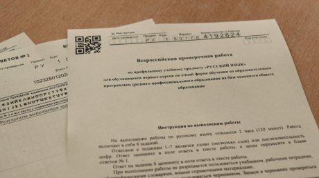 Пензенские студенты написали ВПР по русскому языку