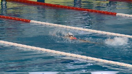 В Пензе всероссийские соревнования собрали более 600 пловцов