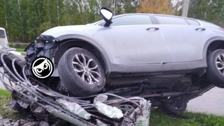 В Пензе 77-летний водитель Kia чудом остался жив после наезда на столб