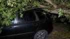 Во 2-м Свердловском проезде на машину рухнуло дерево