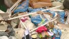 Пензенцы не верят в появление завода по переработке мусора