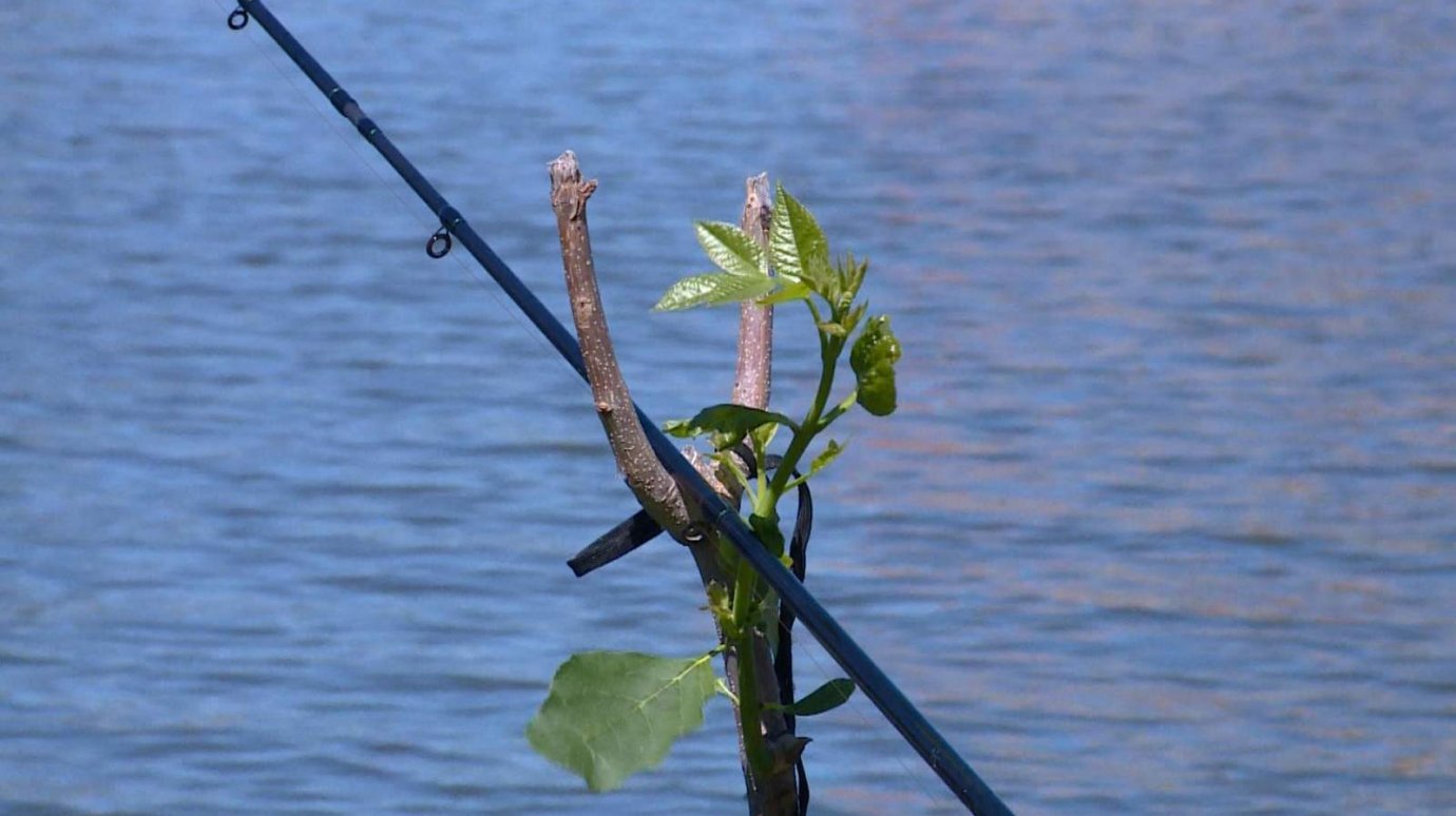 Рыбак из Пензенского района пойдет под суд из-за своей неловкости