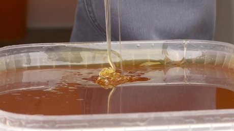 Пензенские пчеловоды передали мобилизованным тонну меда
