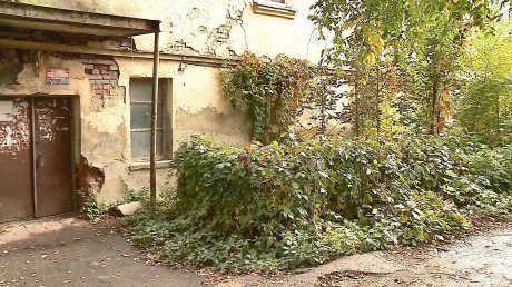 Двухэтажка на улице Циолковского заросла деревьями и кустарниками