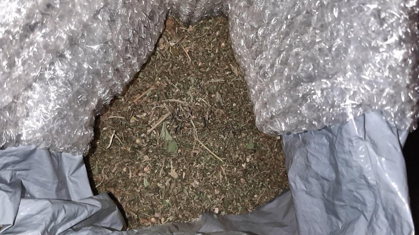 Полицейские изъяли у жителя Сердобска марихуану и коноплю