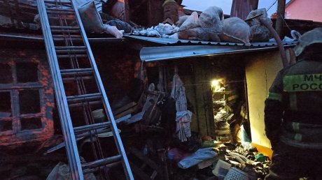 В Пензе выясняют обстоятельства гибели женщины при пожаре