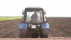 «Траст» выставил на аукцион один из крупных агрохолдингов России - «РОСТАГРО»