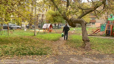 Местные жители устроили свалку в кустах на улице Островского