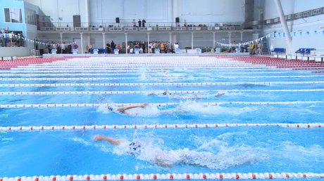 В Пензе стартовало региональное первенство по плаванию