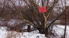 Жителям Пензенской области запретили выходить на лед водоемов