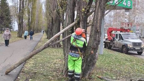 В Пензе убирают поваленные деревья и чинят светофоры