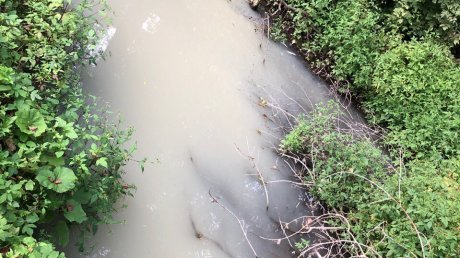В Пензенской области расчистят реку Инру и Чемодановский пруд