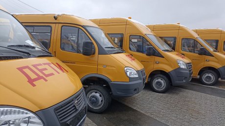 Из 45 новых школьных автобусов два останутся в Пензе