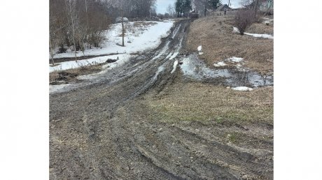 В селе Мокшанского района не дождались обещанного ремонта дороги