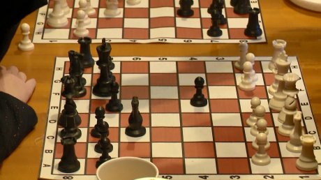 Шахматисты из Пензы достойно выступили на первенстве ПФО