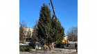 В Кузнецке установили главную новогоднюю елку города