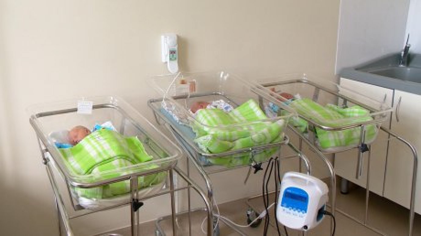 Росстат зафиксировал резкий спад рождаемости в Пензенской области