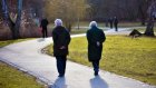 Будущим пенсионерам предлагают копить на достойную старость