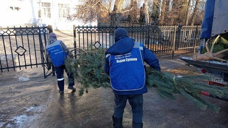 Вадим Супиков дарит школам и детсадам пушистые елки