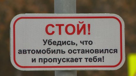 Новым светофором на ул. Володарского будут управлять пешеходы