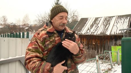 На хозяина голодных собак на улице Подольской заявили в полицию