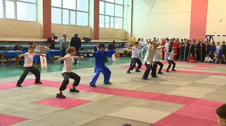 На областном фестивале боевых искусств выступили 200 спортсменов