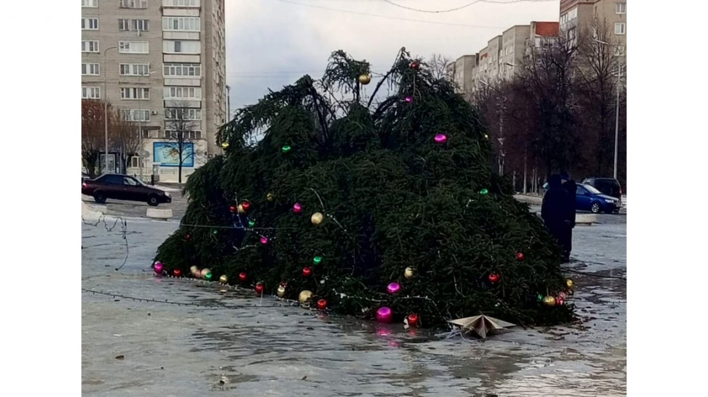 8 января 2023 г. Новогодняя елка. Елка на площади. Елка упала. Упавшая Новогодняя елка.