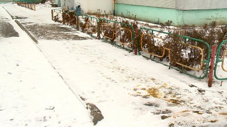 В Пензе нашлись люди, довольные зимней уборкой во дворе