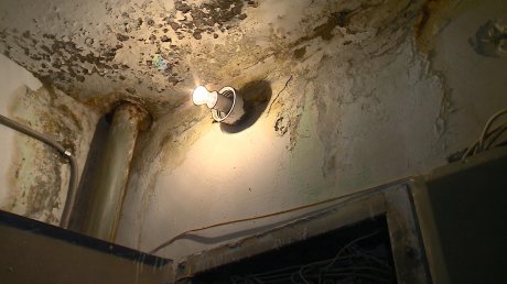 Страшно жить: в подъезде дома на Бородина заливает электрощитки