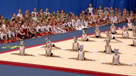Пензенские гимнасты выступили на праздничном представлении