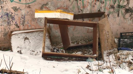 В Арбекове местные жители устали бороться с бездомными