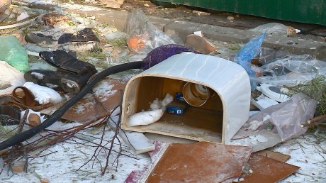 Пензенцы не могут добиться переноса мусорки на улице Рахманинова
