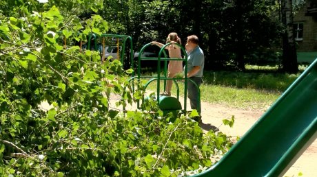 Жители Западной просят опилить деревья на детской площадке