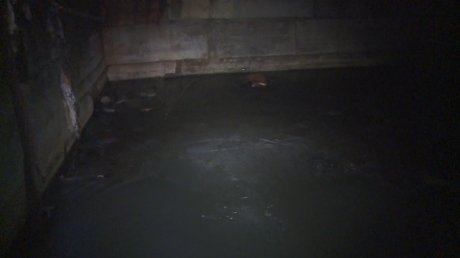 Подвал дома на улице Центральной оказался затоплен