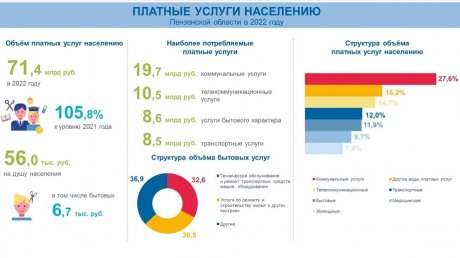 За год в среднем пензенцы заплатили за услуги по 56 тыс. руб.