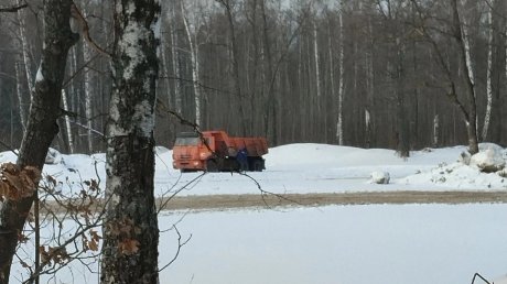 Пензенец пожаловался на свалку грязного снега в Арбековском лесу