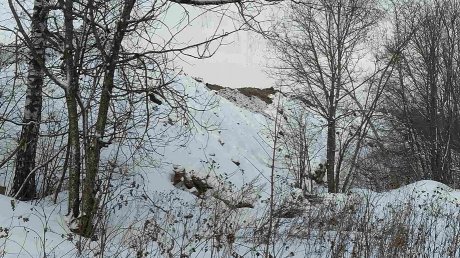 Пензенец пожаловался на свалку грязного снега в Арбековском лесу