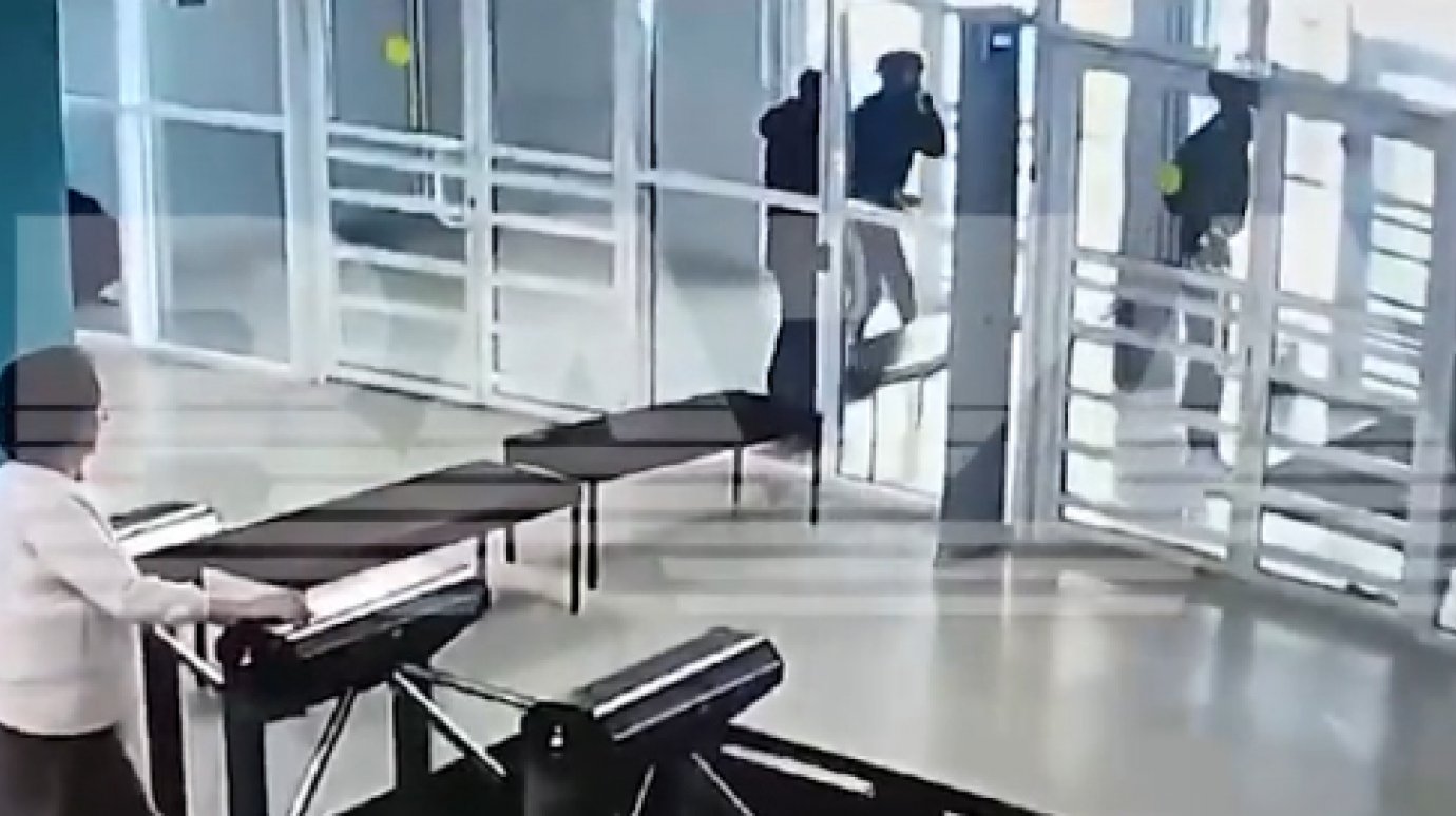 Появилось видео массовой драки с молотками в российской школе
