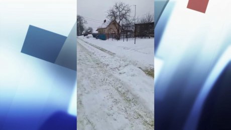 Коммунальщики пообещали справиться со снегом в Пензе