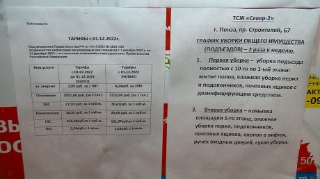 В Пензе высокая плата за СОИ нарушила сон пенсионерки