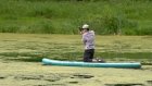 В Пензе не планируют чистить озеро в экопарке «Ласточкины горы»