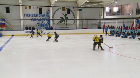 В ледовом комплексе «Хрустальный» отметили День зимних видов спорта