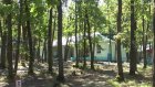 Пензенцам недоступен сайт для оформления путевок в летние лагеря