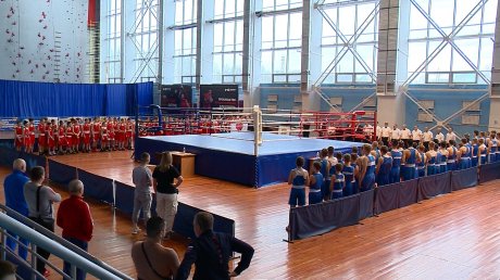 На первенстве Пензенской области по боксу определили состав сборной