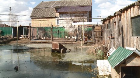 Освоение участков в Сосновке привело к затоплениям