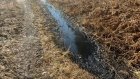 В Нижнеломовском районе выясняют, кто слил токсичные  отходы