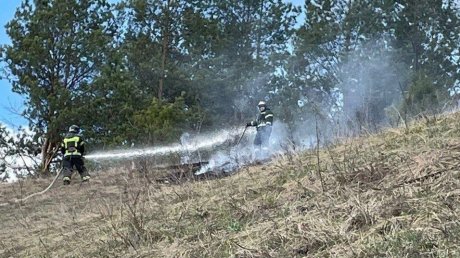 За сутки в регионе зарегистрировали более 40 пожаров