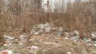 Пустырь на улице Пушанина стал похож на мусорный полигон