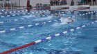 В Пензе трудовые коллективы выявили лучших пловцов