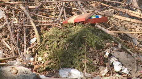 Пензенцы ждут исчезновения гор мусора у Дворца водного спорта